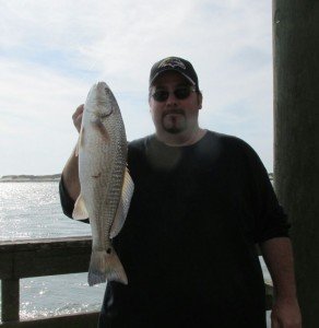 14908240_1223192937741342_6348388504474684310_n