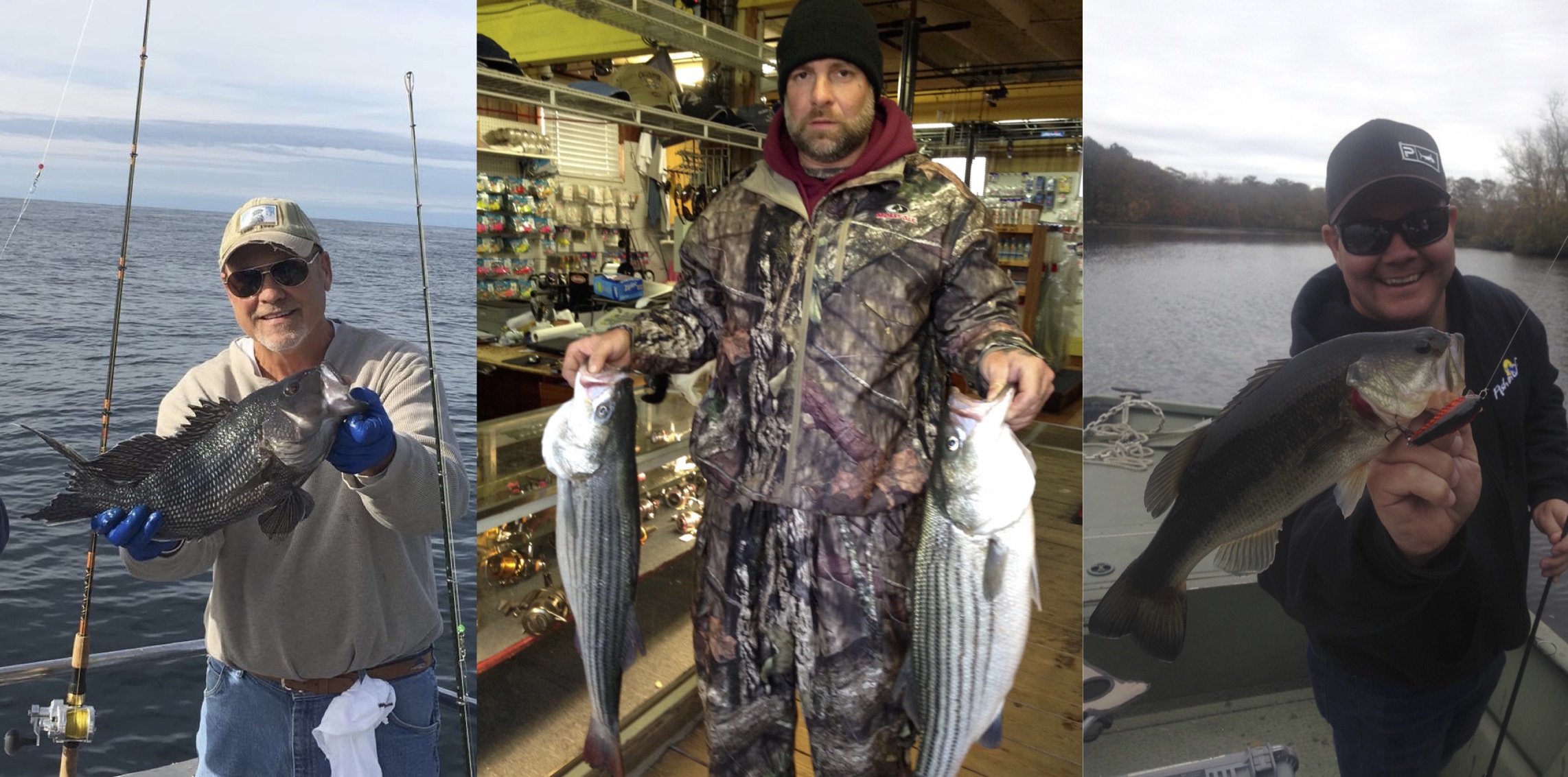 Sea, Striped and Big Mouth