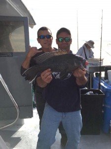 14937212_10157894302110105_8270867996891623166_n