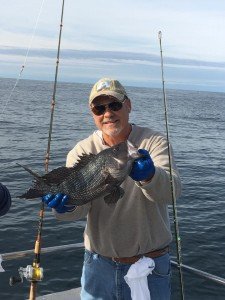 14915458_10157894302095105_5786405900399318326_n