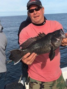 14900435_10157894302205105_29859496697680203_n