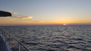 15665583_10158166281250105_4381143573193688522_n