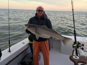 15380791_656111317901545_526320256666776644_n