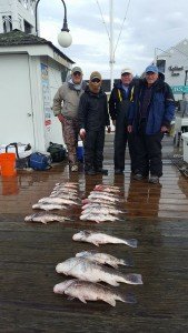 16143283_1211358682273976_9054687037352672322_n