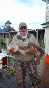 16142745_1211359655607212_168708613193177599_n