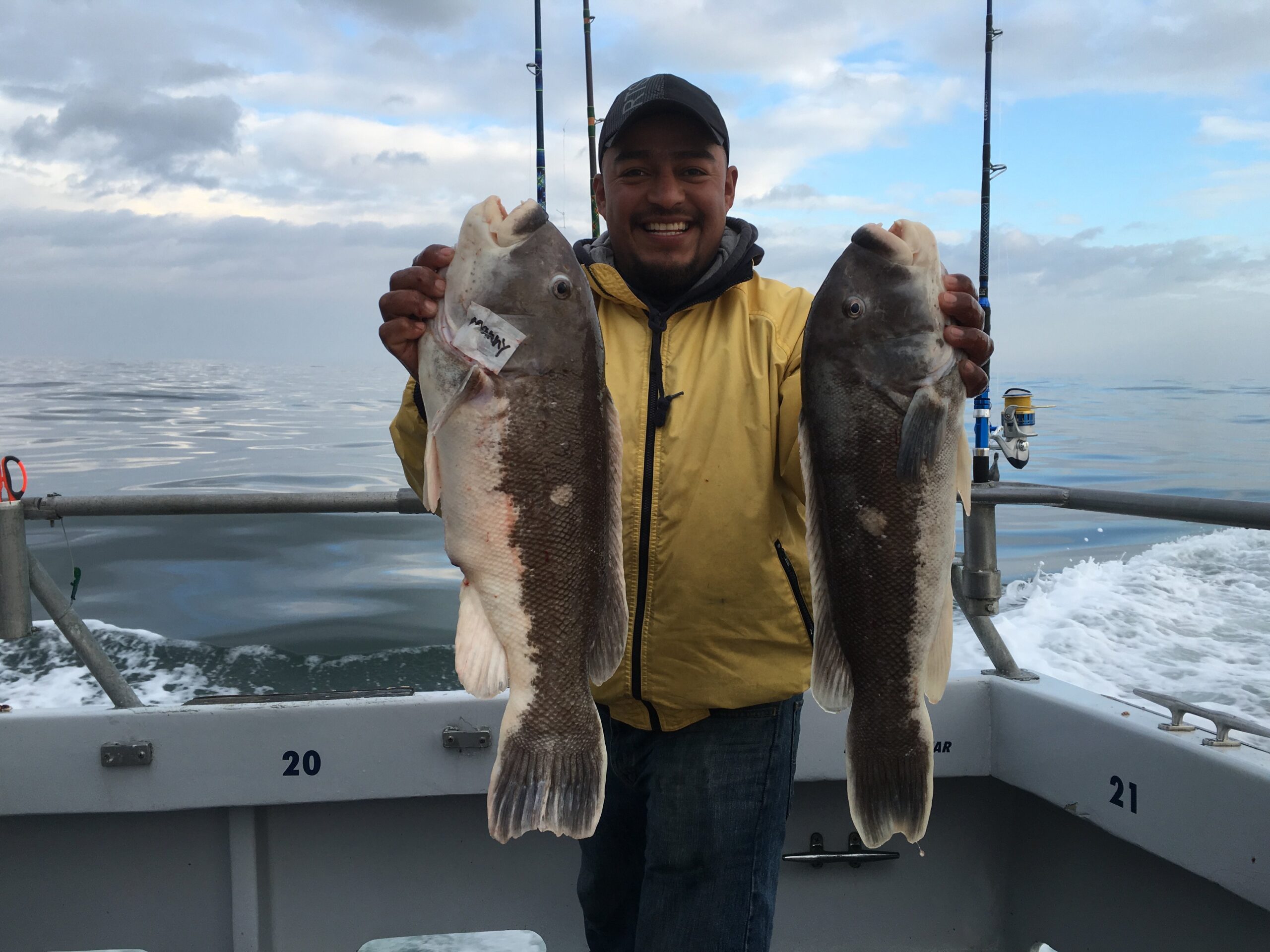 Nice Pair of Tautog