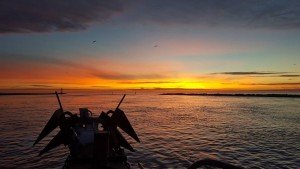 15894962_10210354770618759_6922378826003316259_n