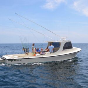 12717522_752840841513046_7742056574836484759_n