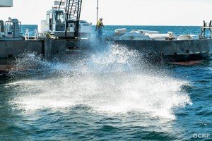 10354607_494714887365149_4339789862847600363_n