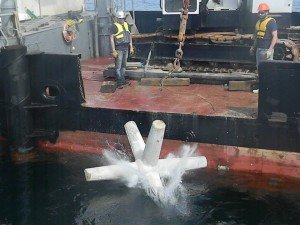 11011006_416549168515055_342967438068658619_n