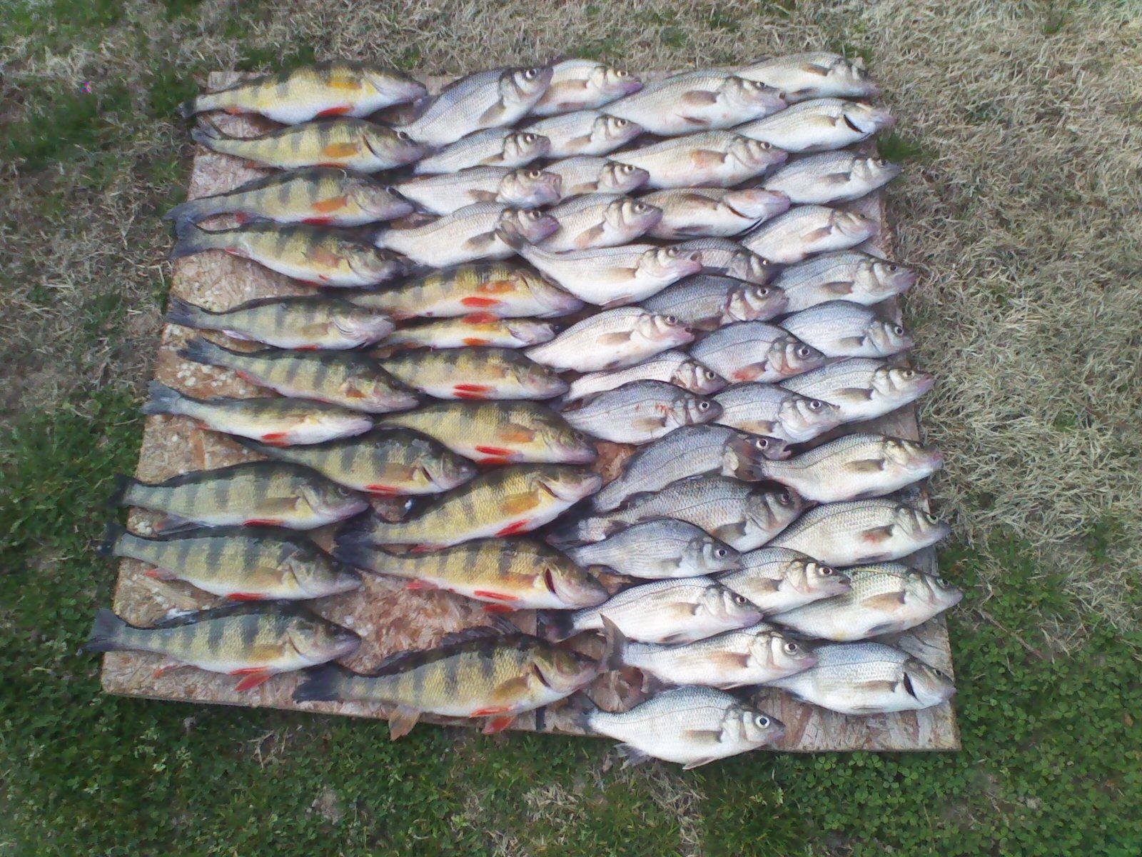 Another Awesome Weekend