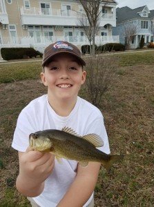 16864331_1265106320244718_1664298363216502002_n