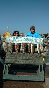 IMG_20170218_142730731