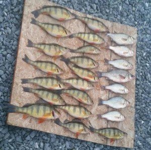 20170218_174220331_resized