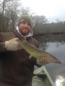 16472949_618560945002746_6482810846303892408_n