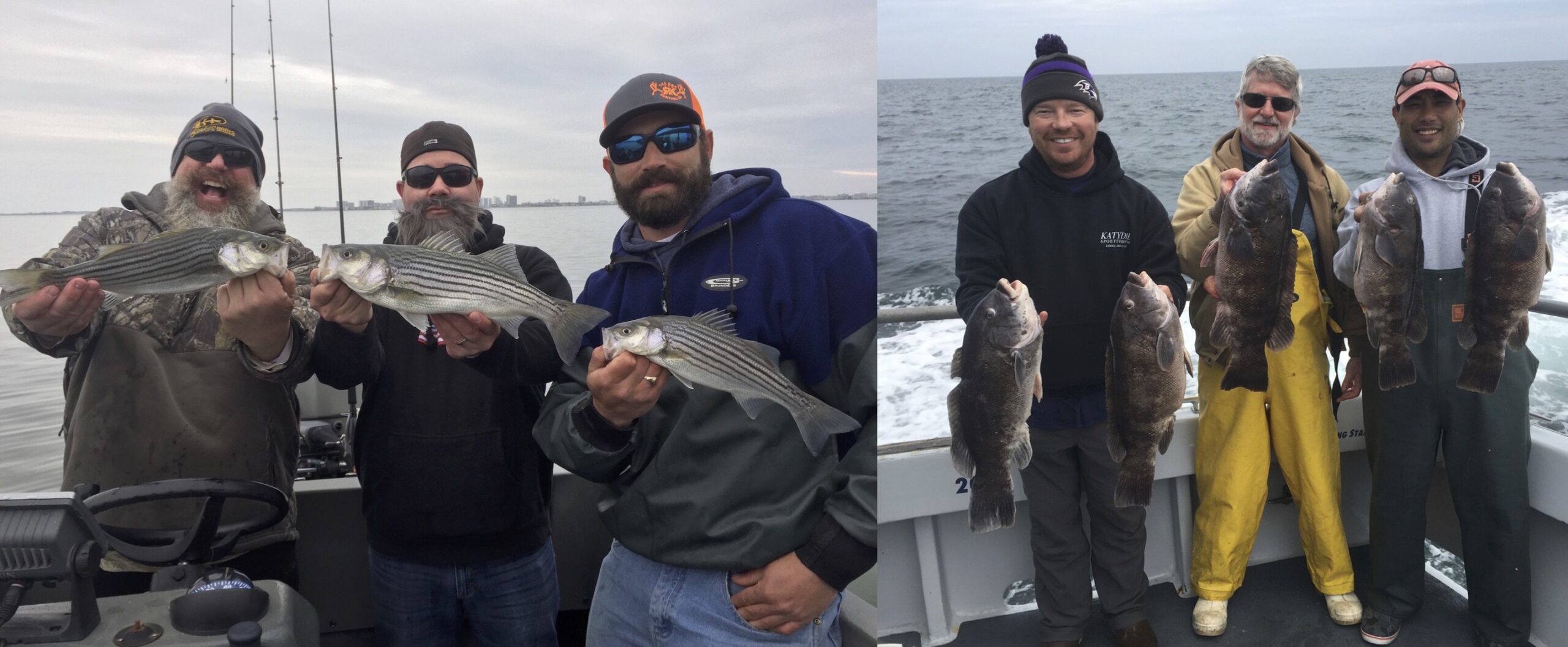 Spring Rockfish and Tautog