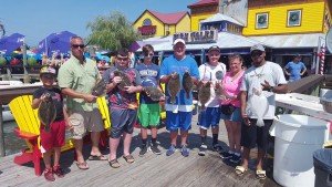 13781882_1784594845146091_5799763439083376502_n