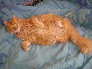 1923220_59808861297_4998900_n