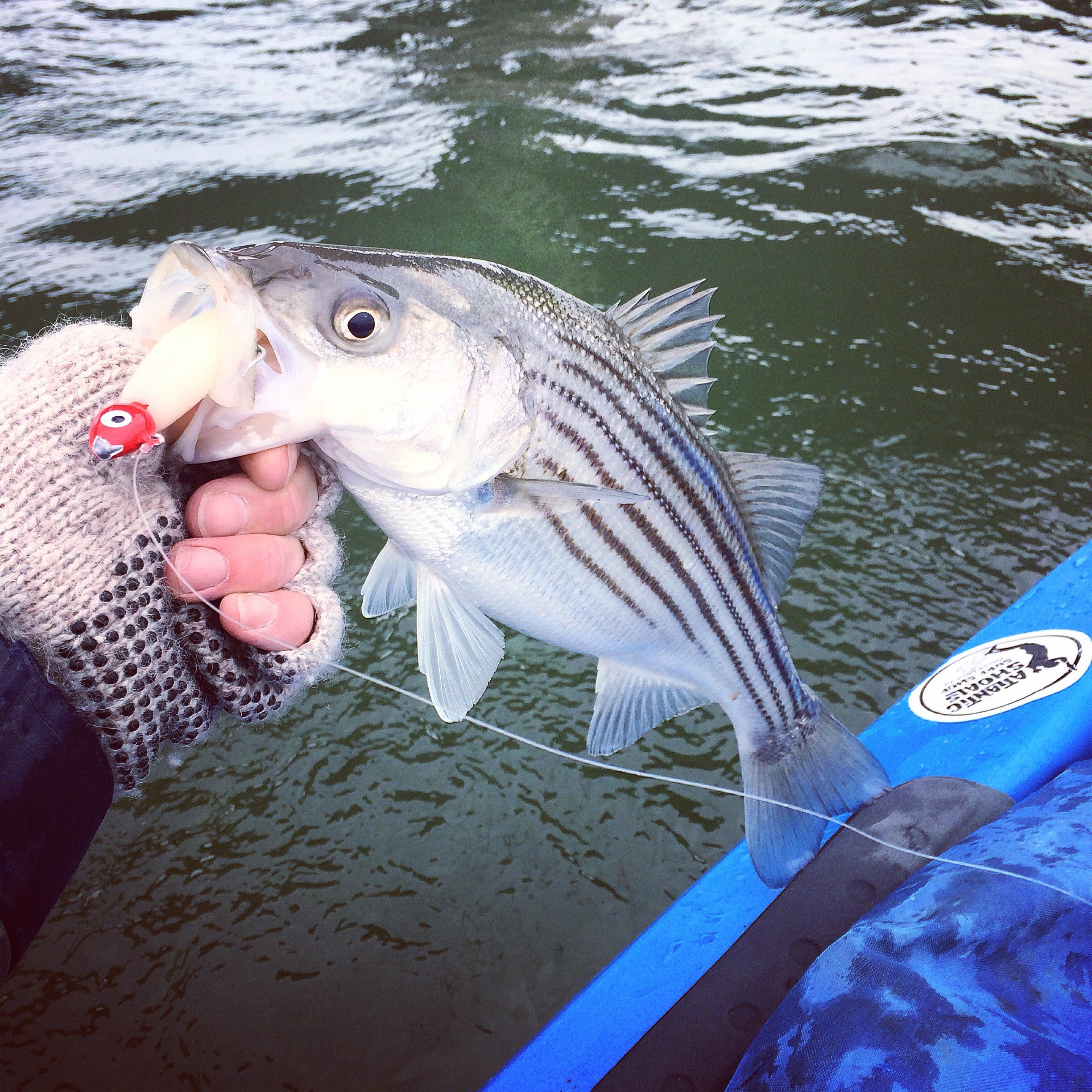 Snapping in the Cold