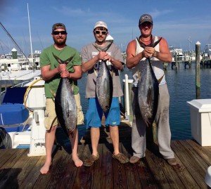 18195106_1337992036237759_8206797784591793690_n