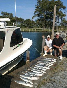 IMG952017043095164234548