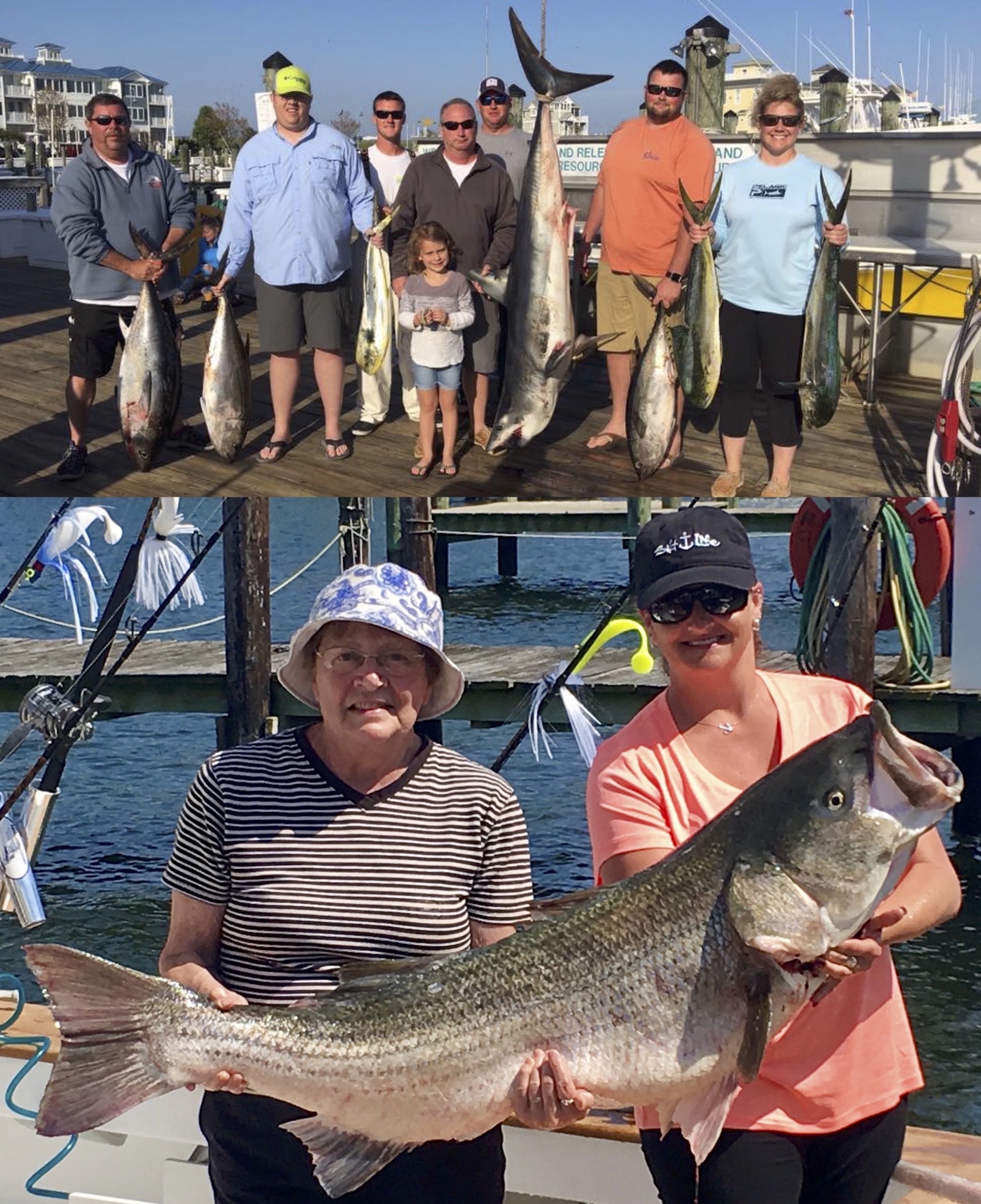 First Tuna of the Season and A 55 Pound Rockfish