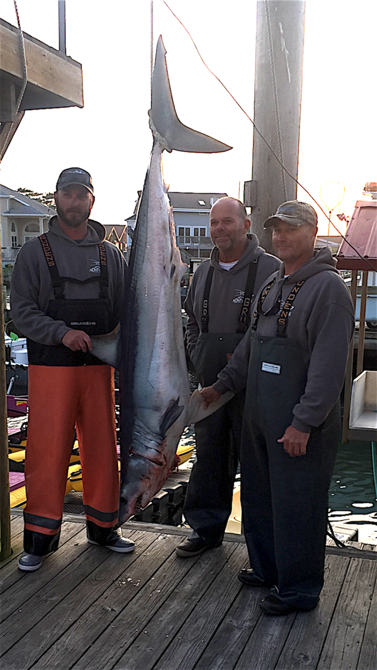 First Mako of the Season and Awesome Inshore Fishing