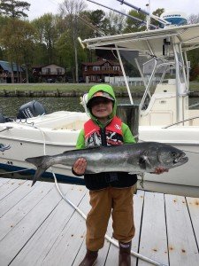 18199142_10212889248607836_7809306095875738394_n