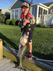 18193900_10212889248487833_3761133605593584194_n