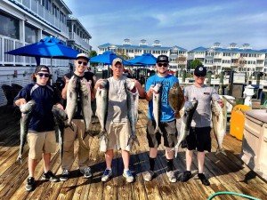 18156989_1334973873218754_45195544704310975_n