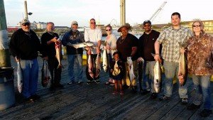 18198324_981812778622622_5035431459537239450_n