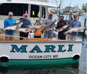 Screenshot 2017-04-27 18.31.13