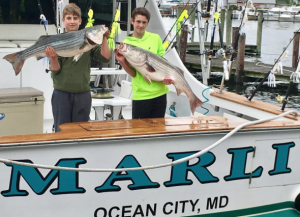 Screenshot 2017-04-26 17.19.42