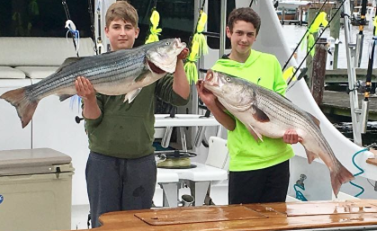 Slob Rock and More Bluefish