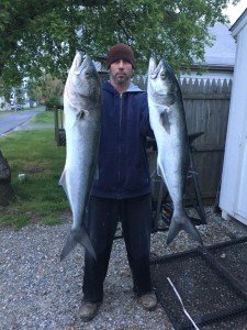 18057709_2238133836412649_4448030807678040937_n