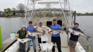 thumbnail_20170415_121937