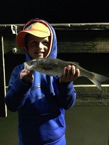 17951763_974491186021448_8684858182260264363_n