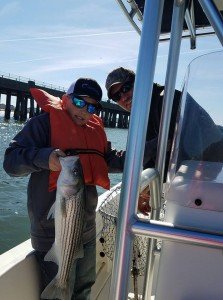 17861843_1314593505295999_6006931380500352462_n