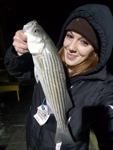 17800480_1203499046439278_7545399419761693528_n