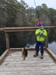 17499339_10212558063168407_5297241225163838648_n