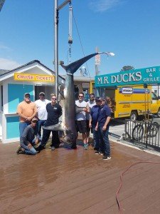 18813646_1531912133507301_2645270190440998271_n