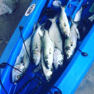 18814124_10158766440895156_1006000897880288952_n