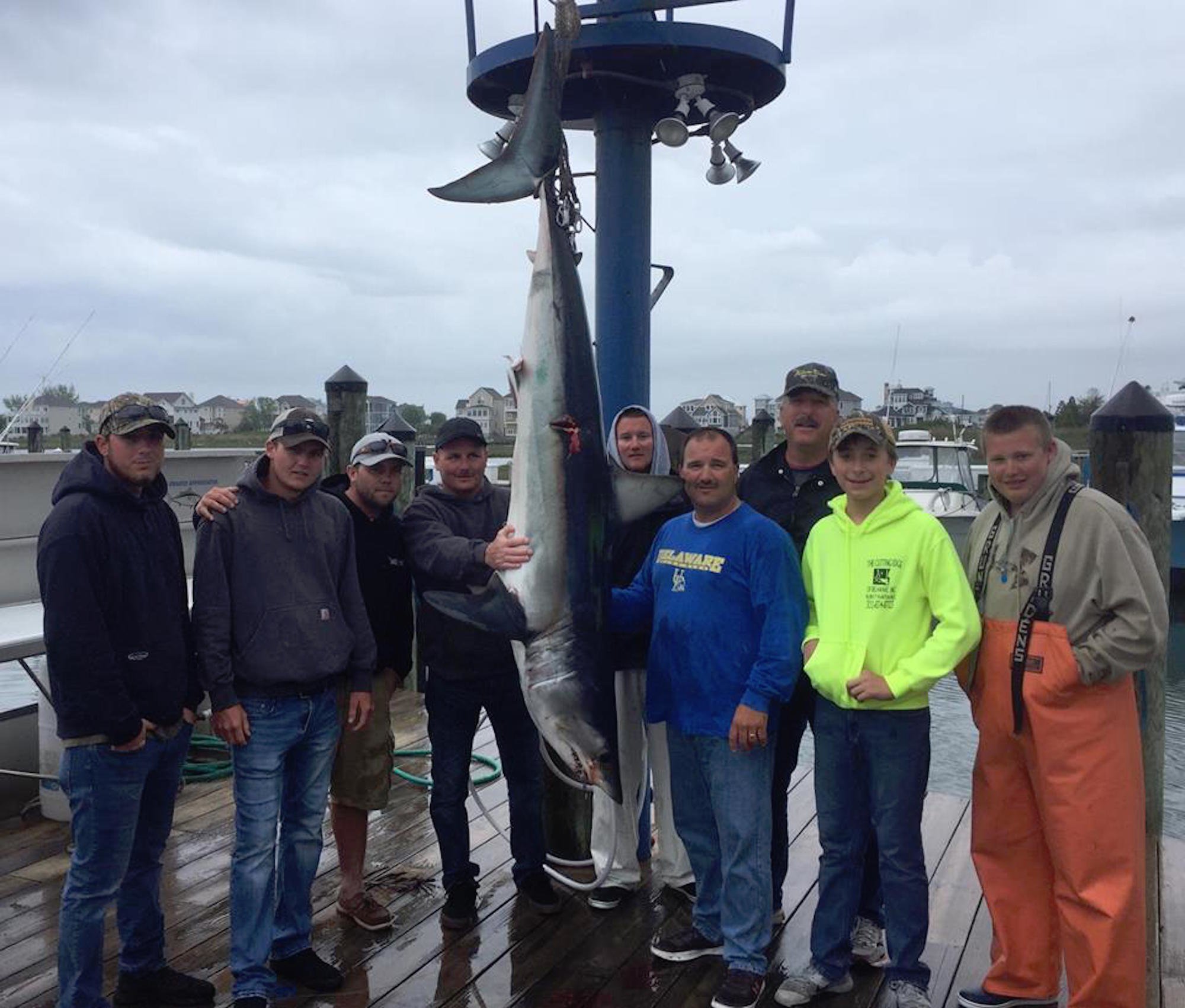 Big Sharks and OCMD Memorial Day Tournament Results