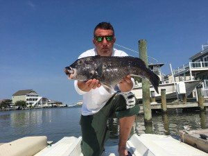 18742399_1530031260363184_684619396_o