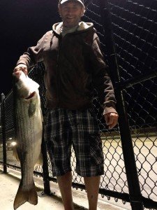 18700195_1274846572635507_5263201087990419561_n