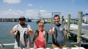 18555913_1931453703546784_5384044122585735674_n