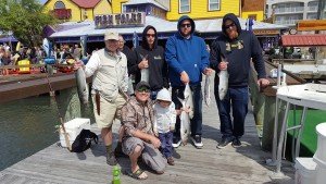 18556065_1942236716048569_7466054585155392097_n