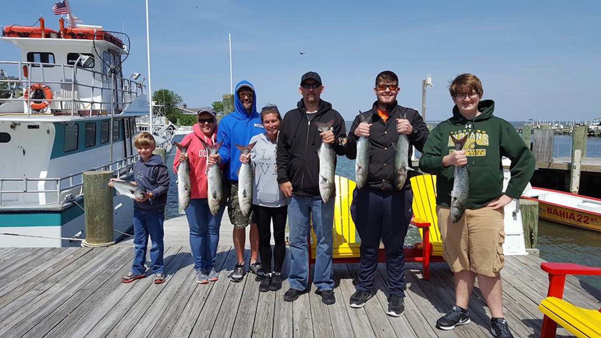 Bluefish in the Wind