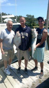 IMG_20170517_121256794