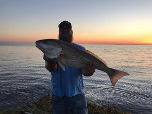 18596623_10210249141765160_563361535_o